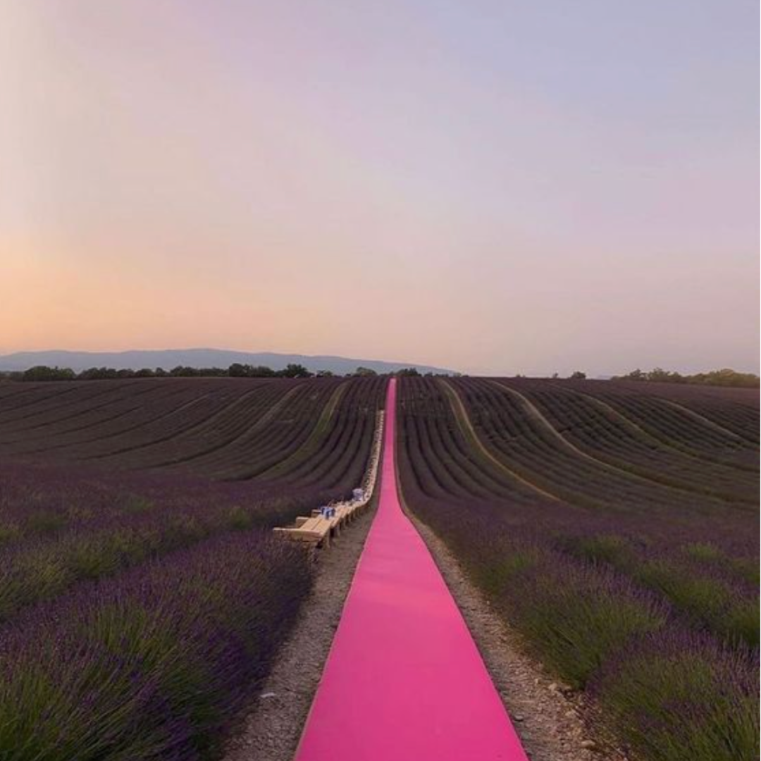 All roads lead to pink.